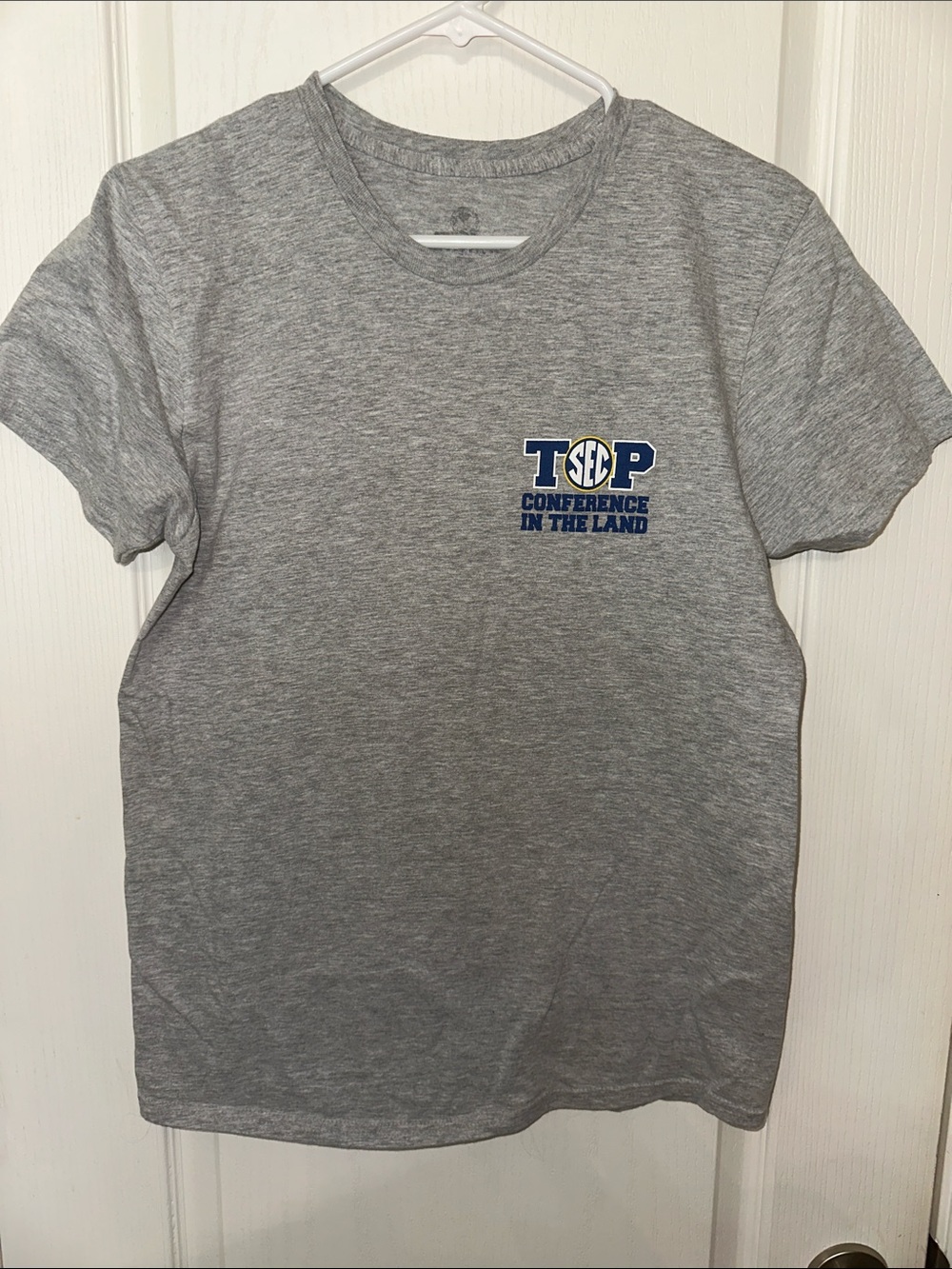 Gray Short Sleeve Graphic Tee - Conference Logo
